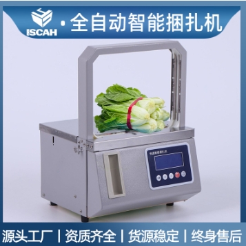 YJ-2217全自动捆扎机束带机打包机