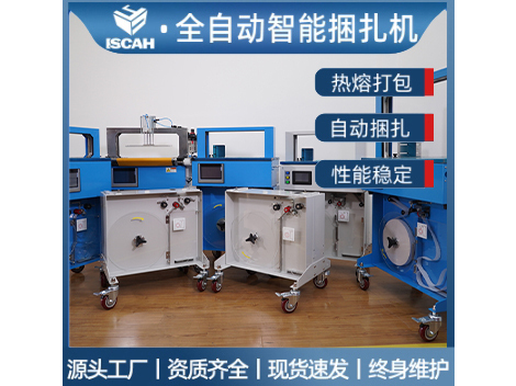 OPP膜带纸带束带机捆扎机